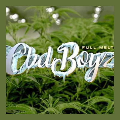 cbdboyz.ie
