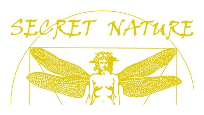 secret-nature.ch